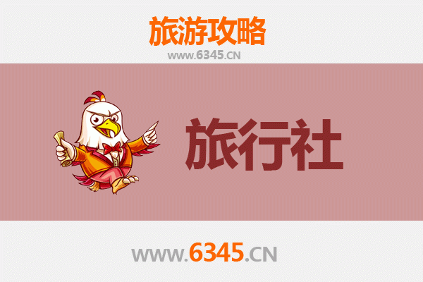 陵水国营吊罗山林业公司本地旅行社推荐：雨林探秘与生态旅游全攻略